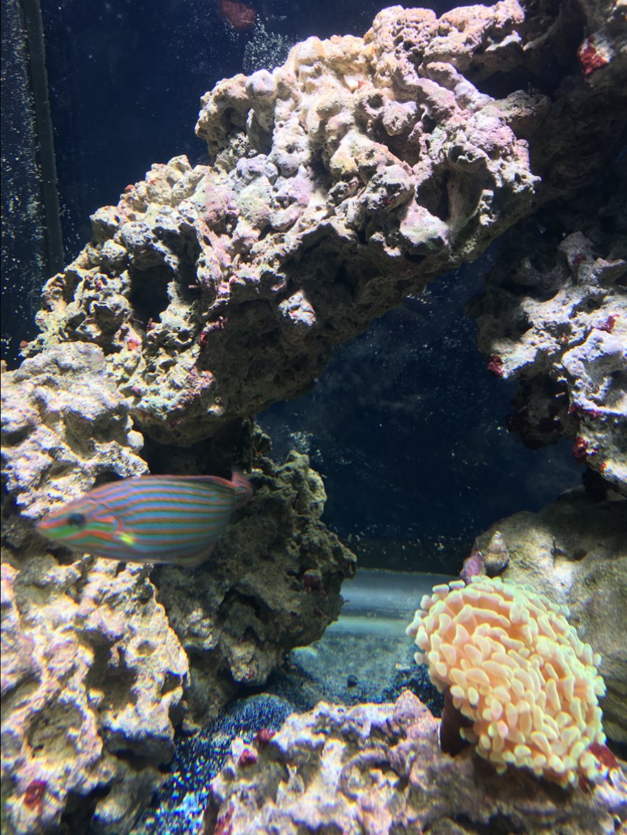 IMG_3553.JPG