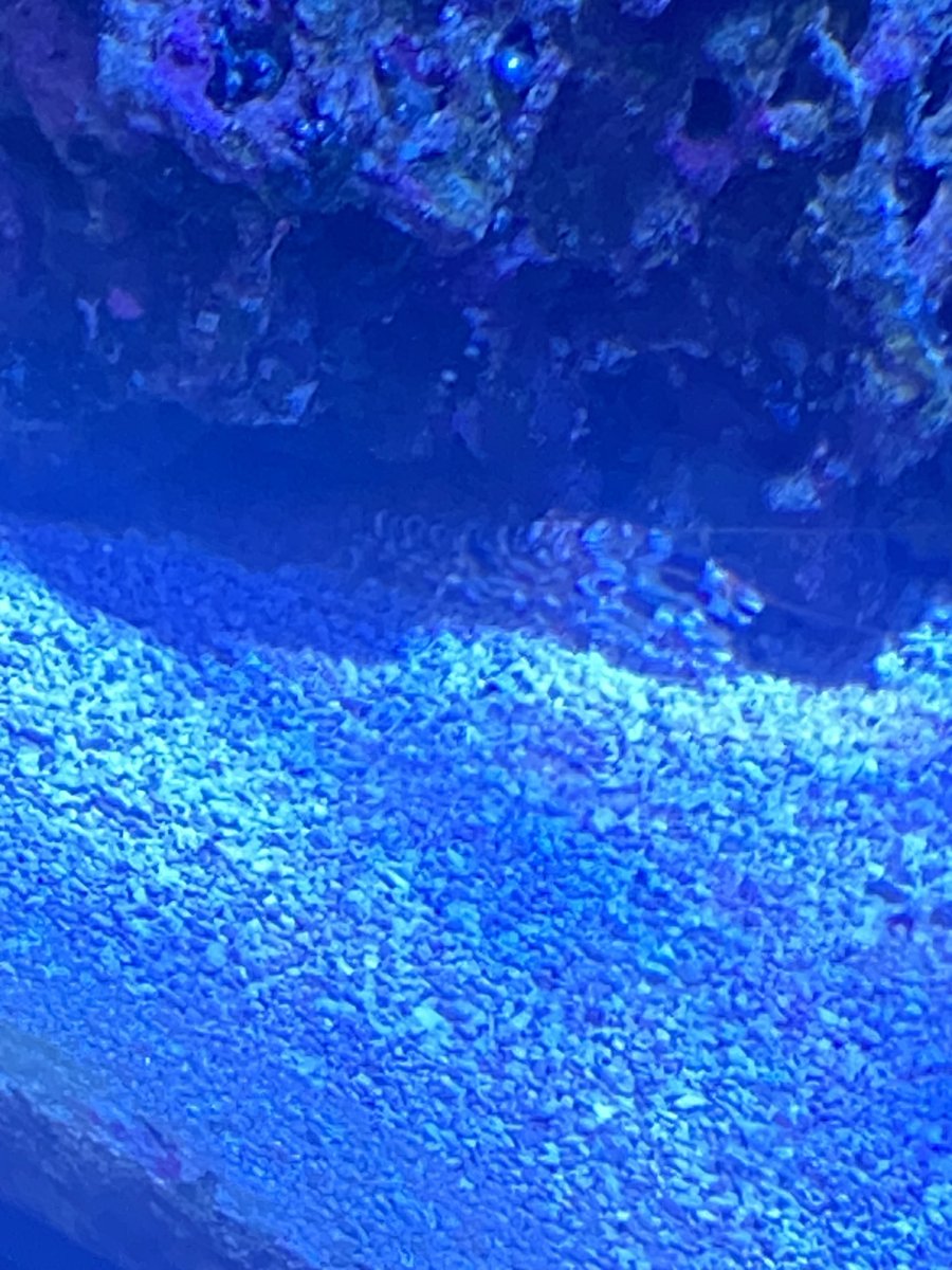 IMG_3557.jpeg