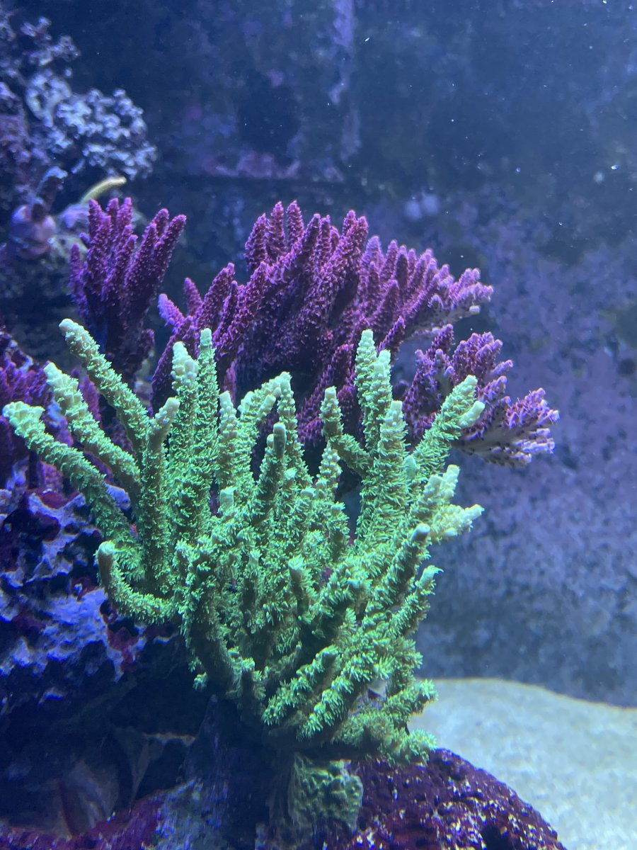 IMG_3563.jpeg