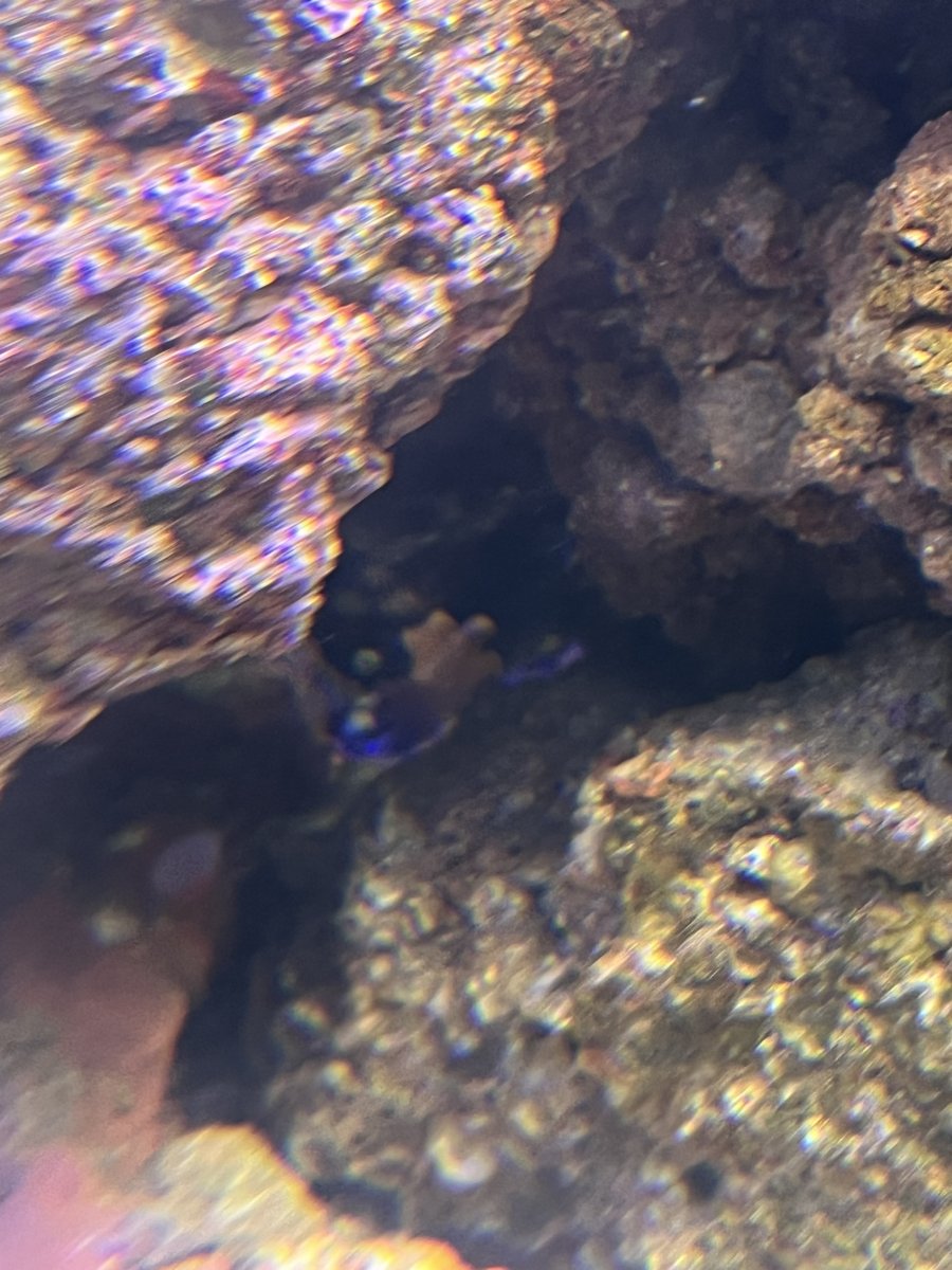 IMG_3563.jpeg