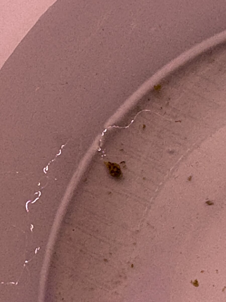 IMG_3574.jpeg
