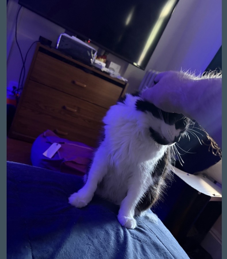 IMG_3583.jpeg