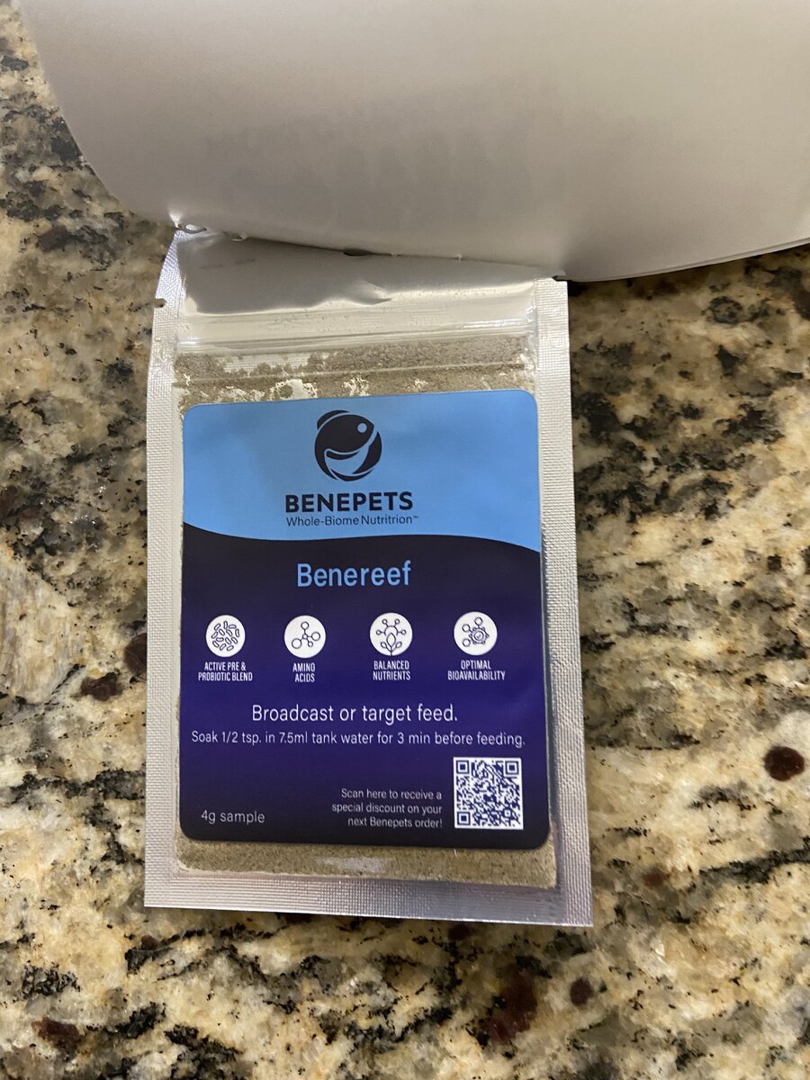 IMG_3594.jpeg