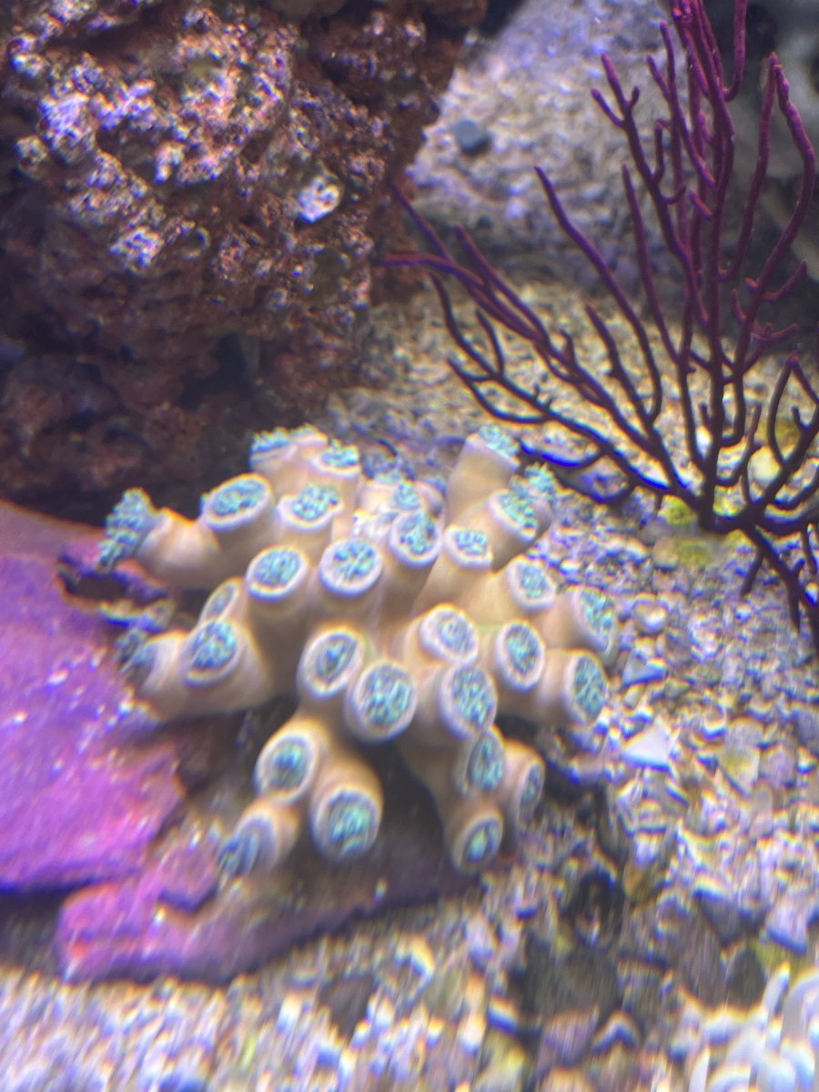 IMG_3600.jpeg