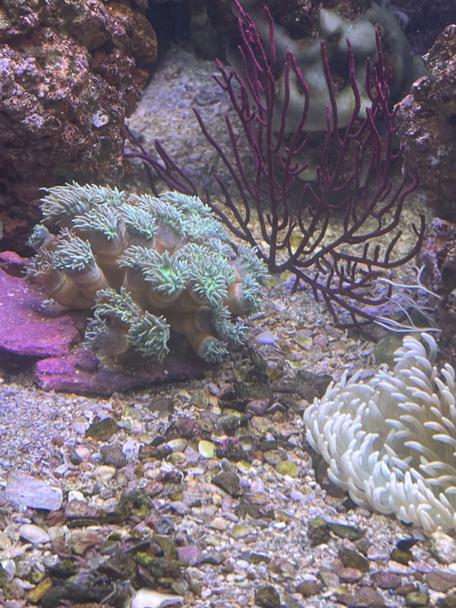 IMG_3601.jpeg