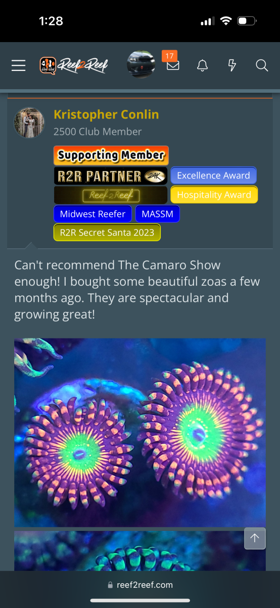 【値下げ】ZOA Z.O.A 仮想の人 Livestock - CAMARO SHOW CORALS CUT TO ORDER HIGH END ZOA
