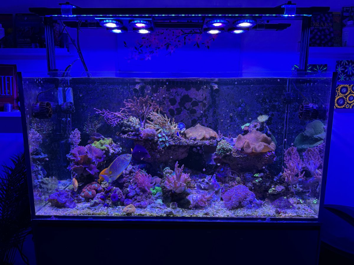 IMG_3608.jpeg
