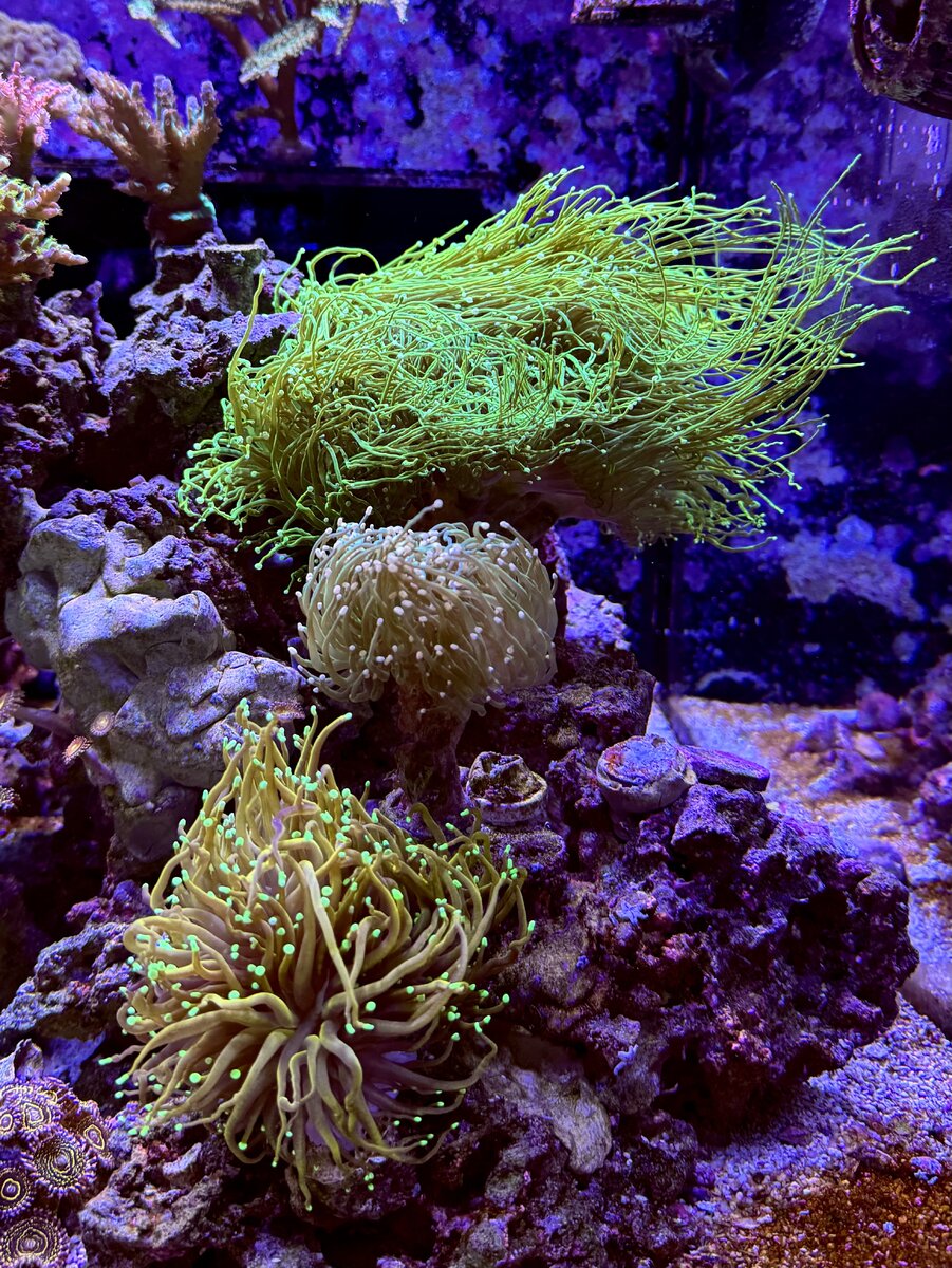 IMG_3608.jpeg