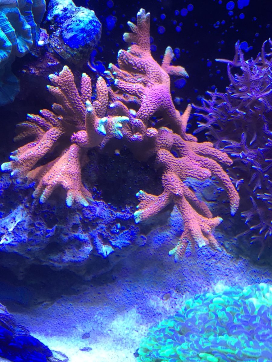 IMG_3611.JPG