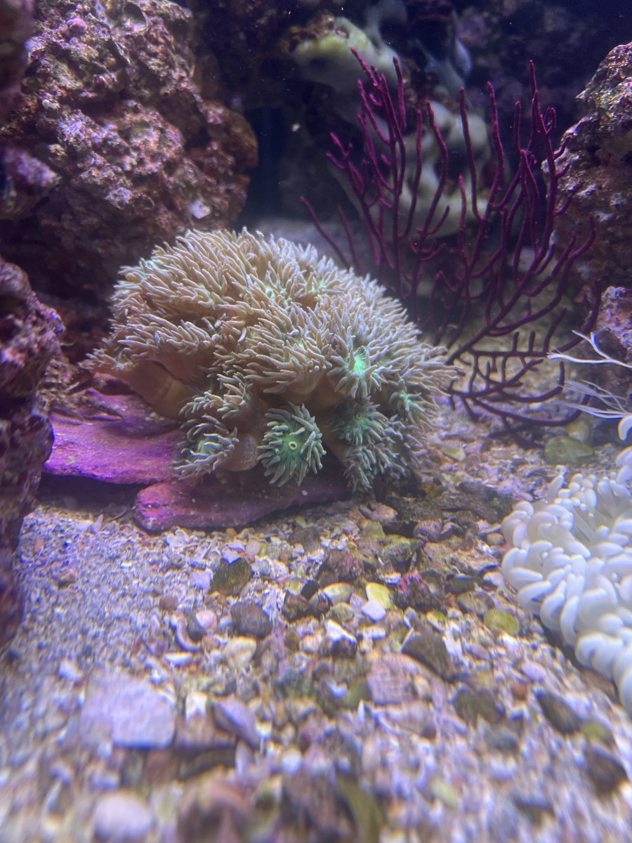 IMG_3614.jpeg