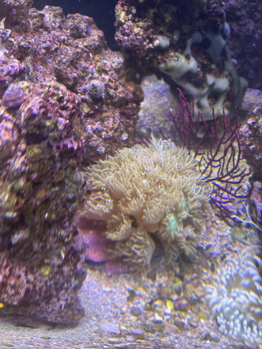 IMG_3619.jpeg