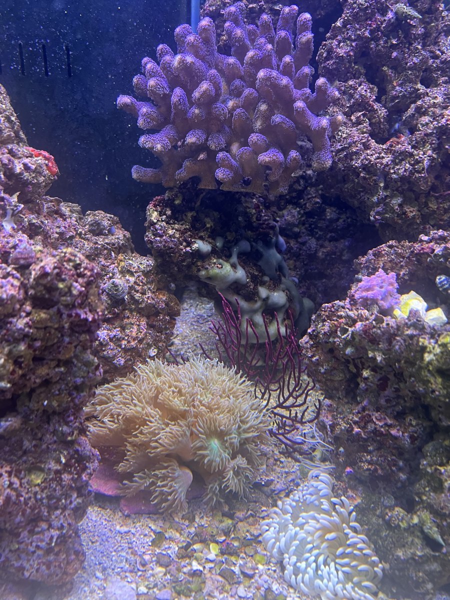 IMG_3620.jpeg