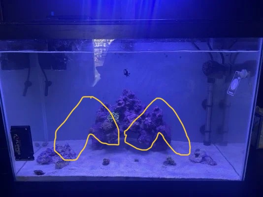 Rescaping | Reef2Reef