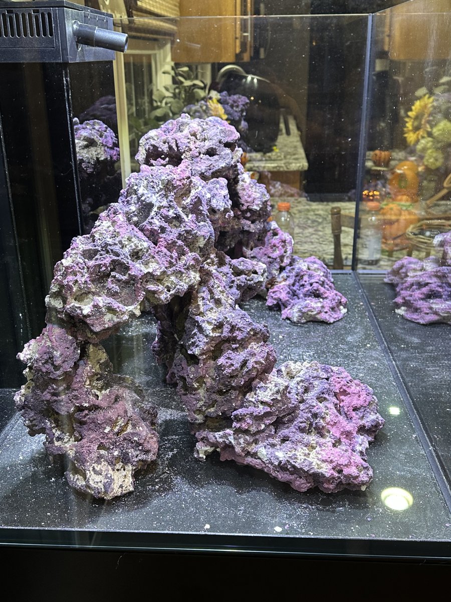 Build Thread - Here We Go! Red Sea Reefer Max G2+ 300 | Reef2Reef