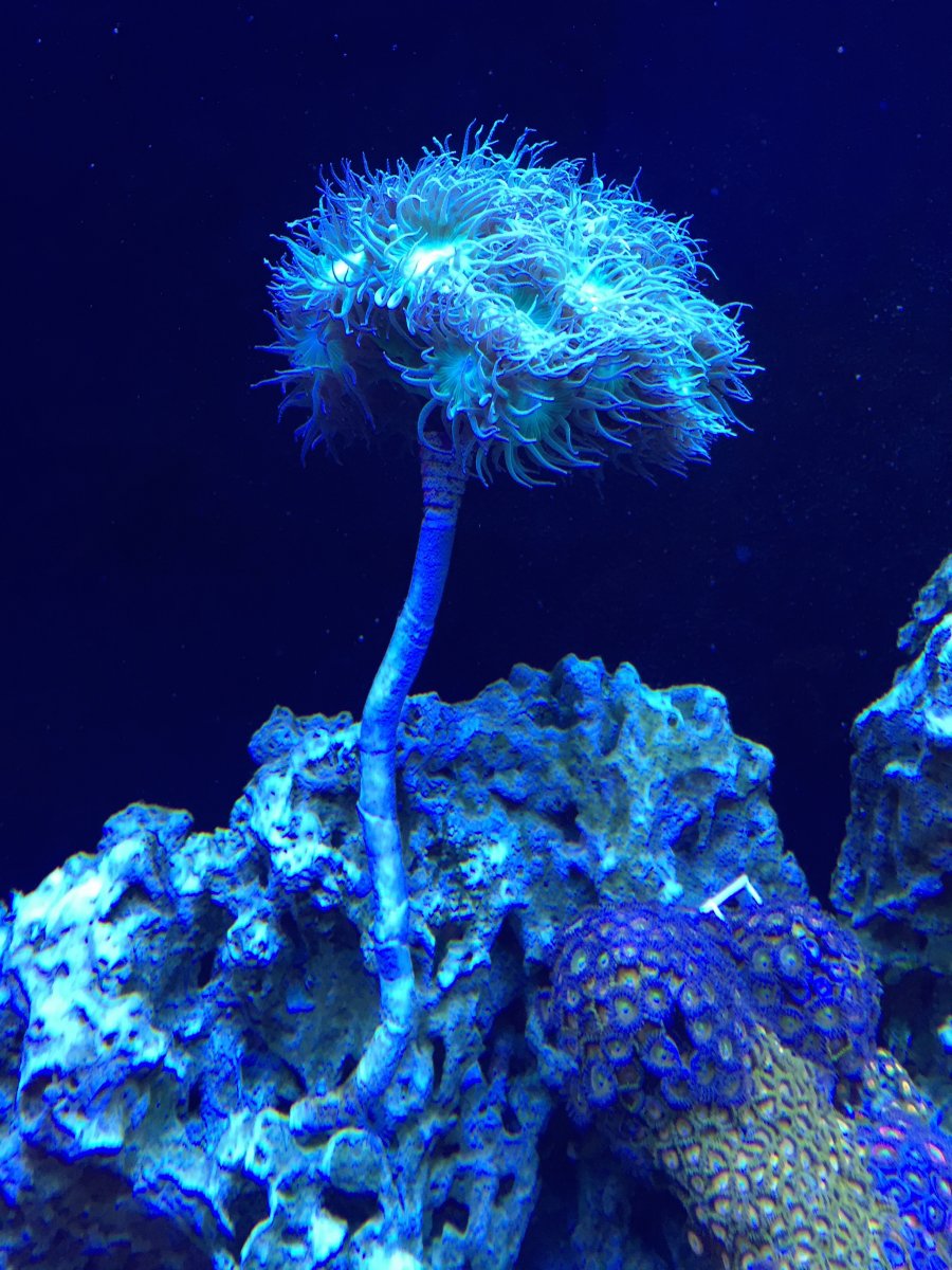 IMG_3632.JPG