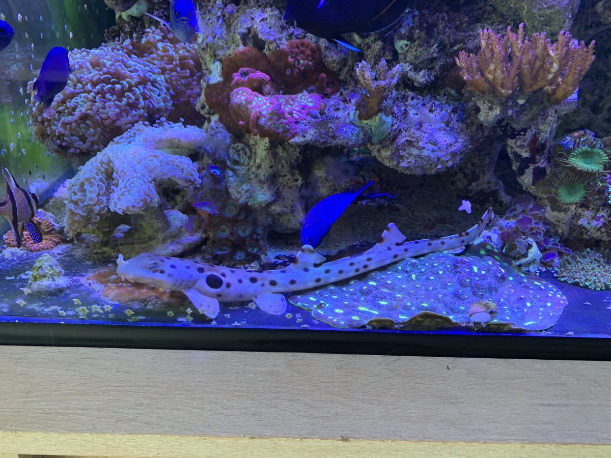 IMG_3635.jpeg