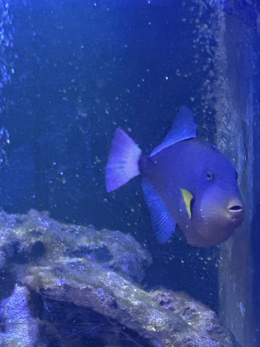 IMG_3640.jpeg