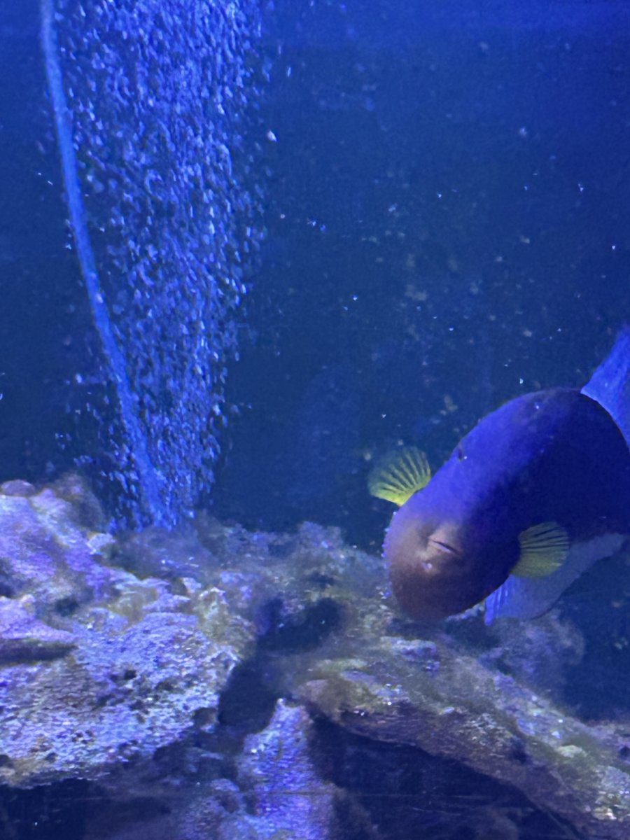IMG_3643.jpeg