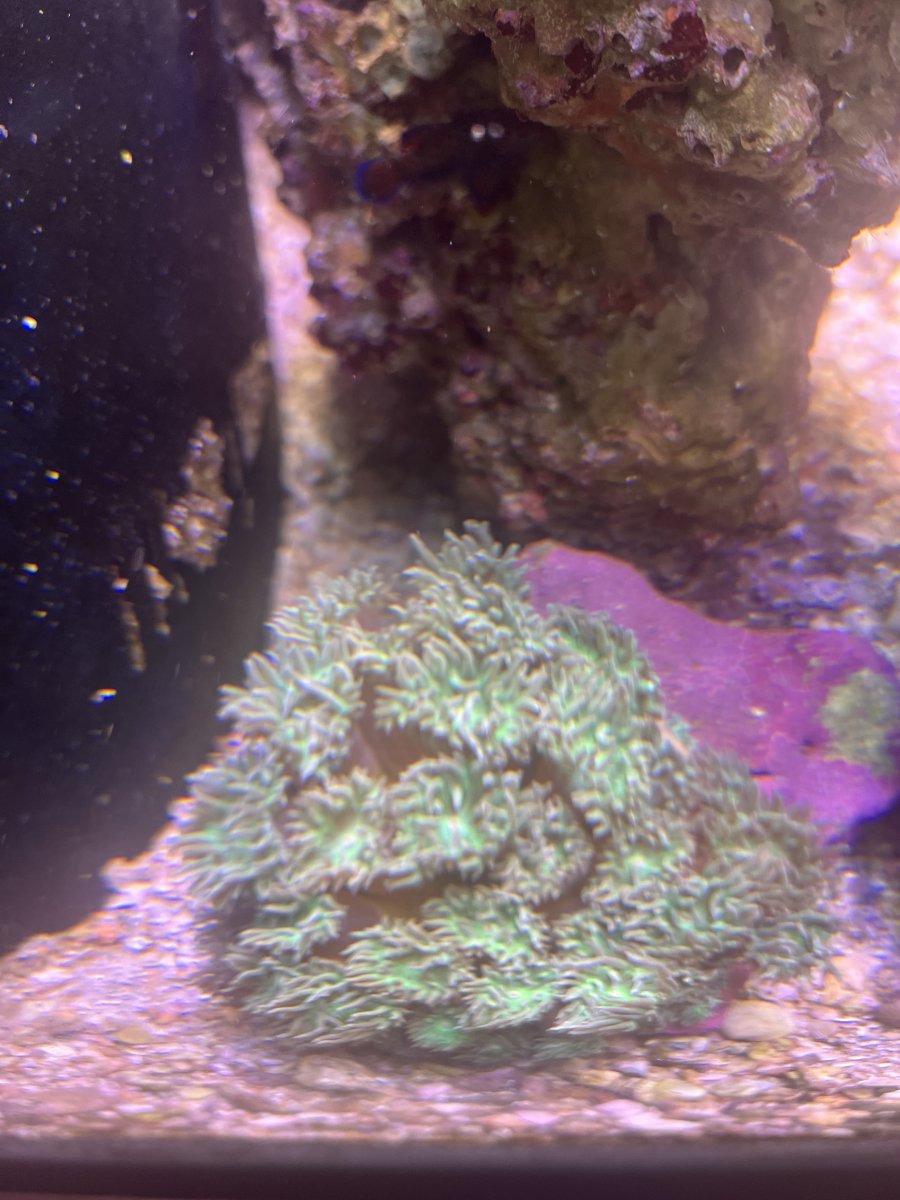 IMG_3650.jpeg