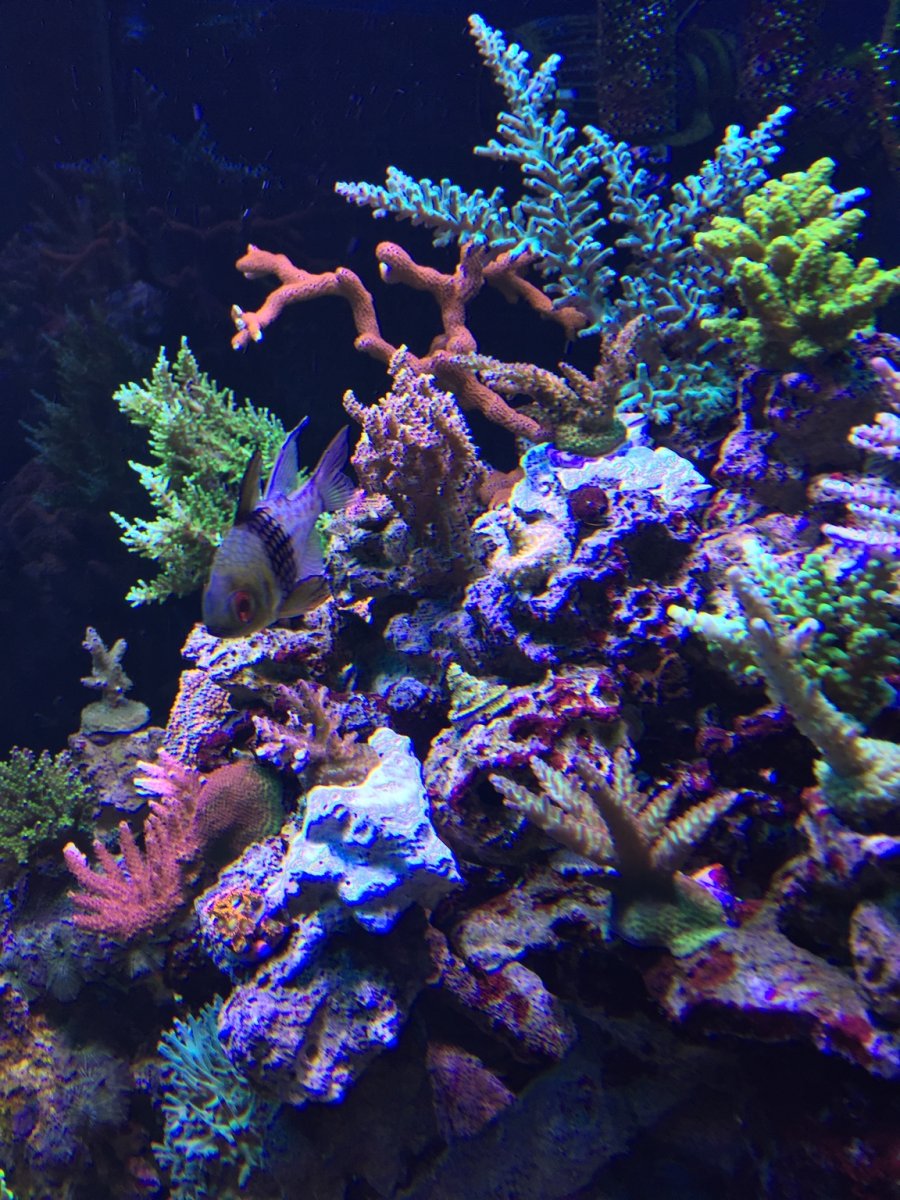 IMG_3661.JPG