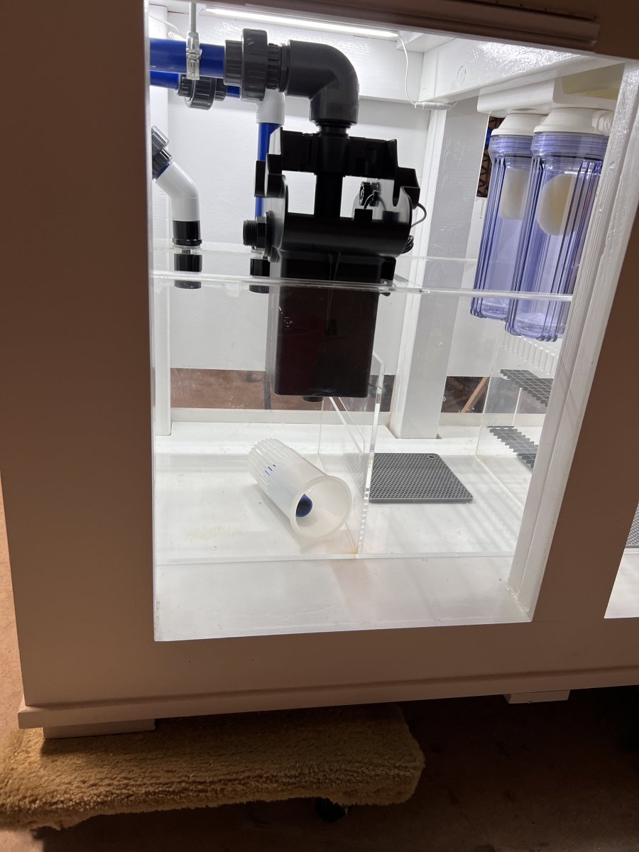 IMG_3672.jpeg