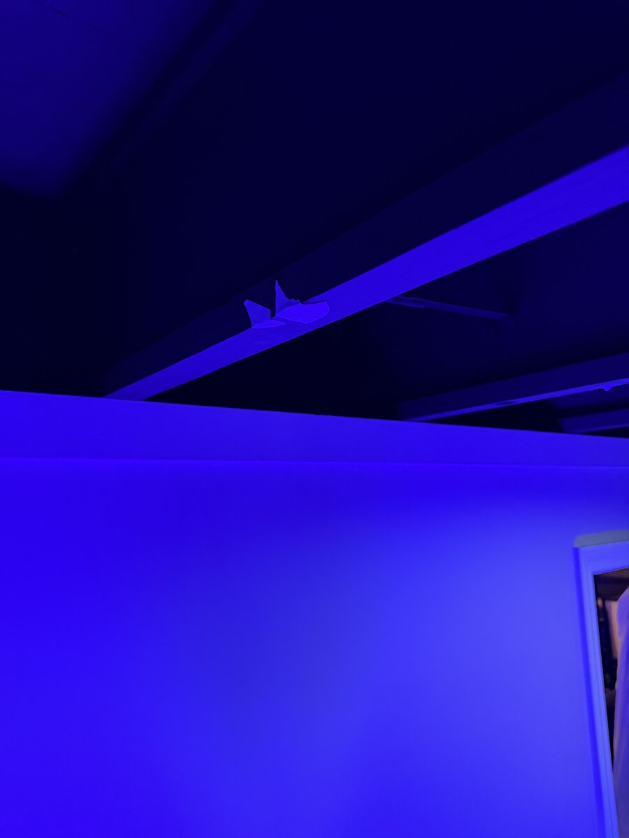 IMG_3676.jpeg