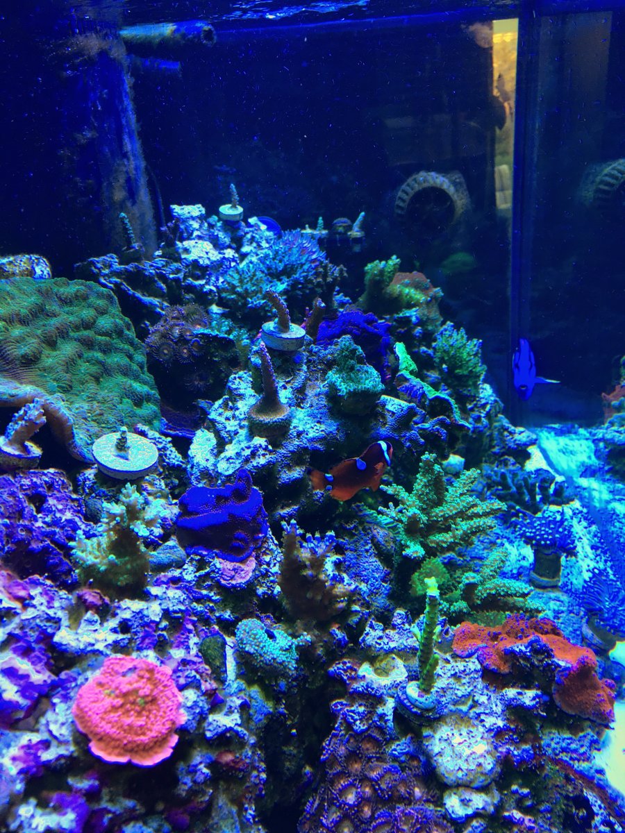 IMG_3683.JPG