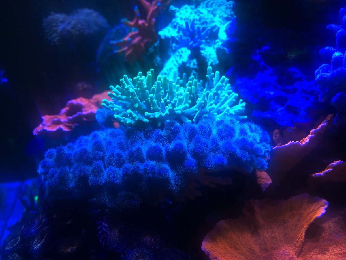IMG_3684.jpeg