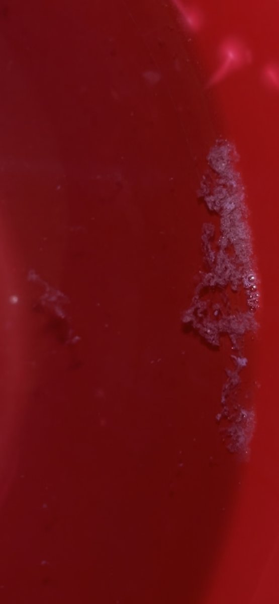 IMG_3693.jpeg