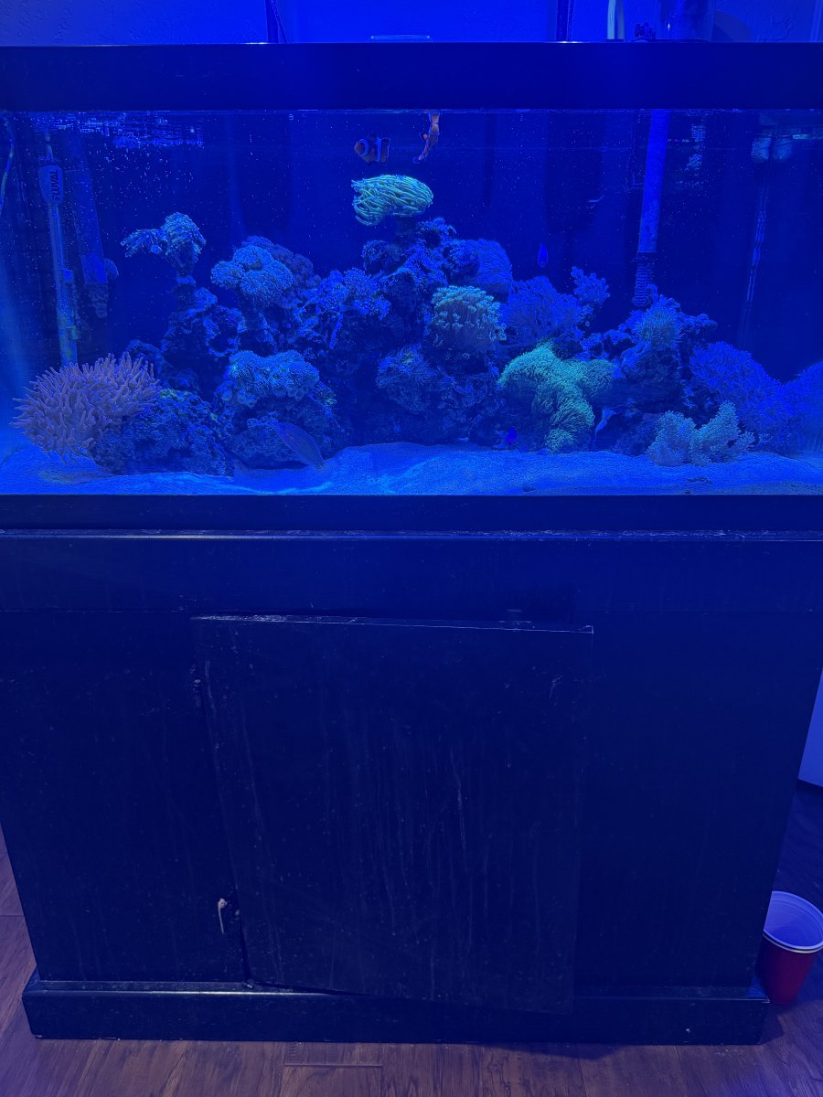 IMG_3707.jpeg