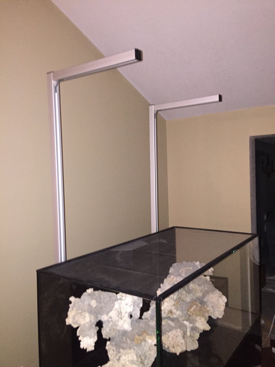 IMG_3723.JPG