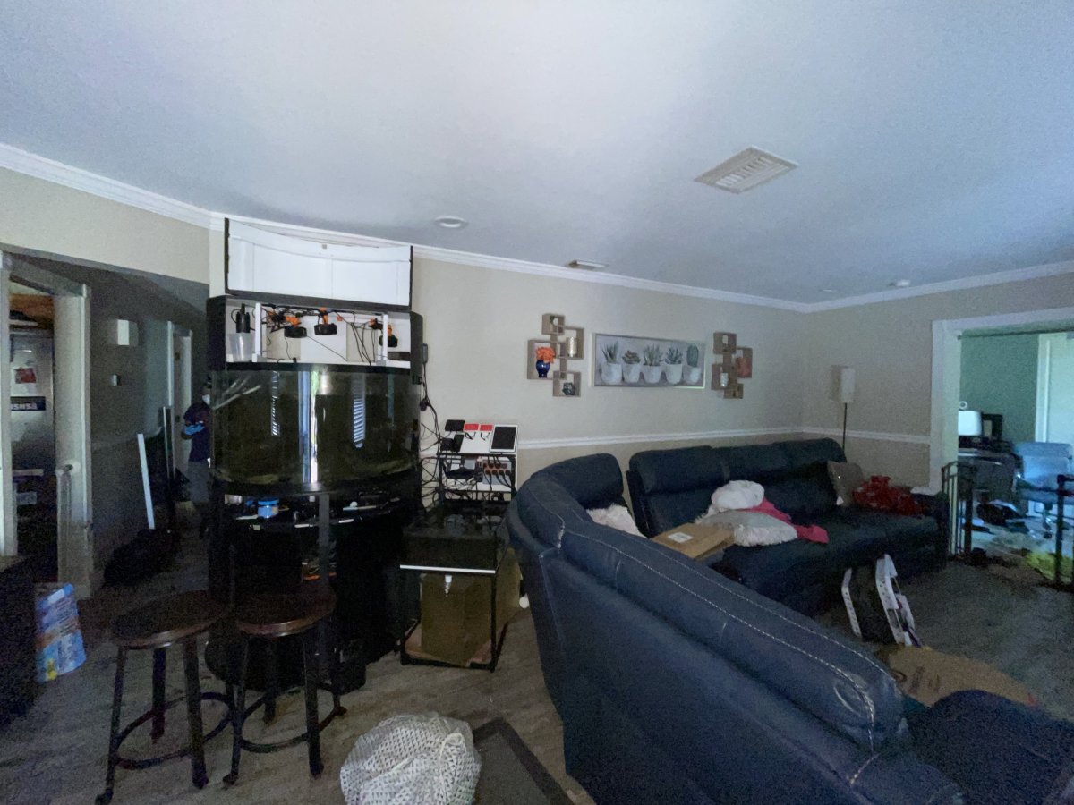 IMG_3726.jpeg