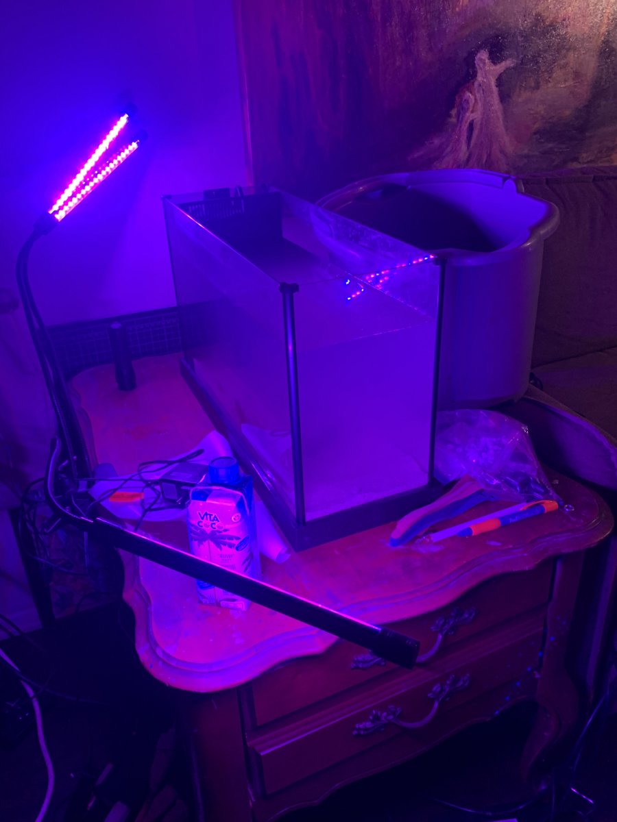 IMG_3727.JPEG