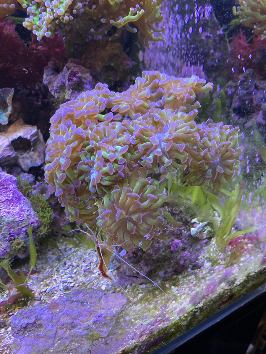 IMG_3728.JPEG