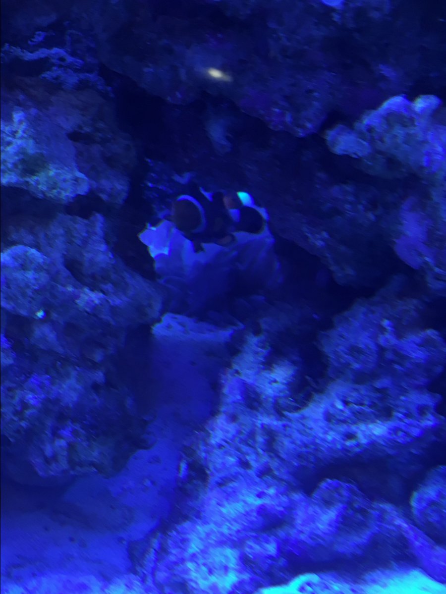 IMG_3745.jpg