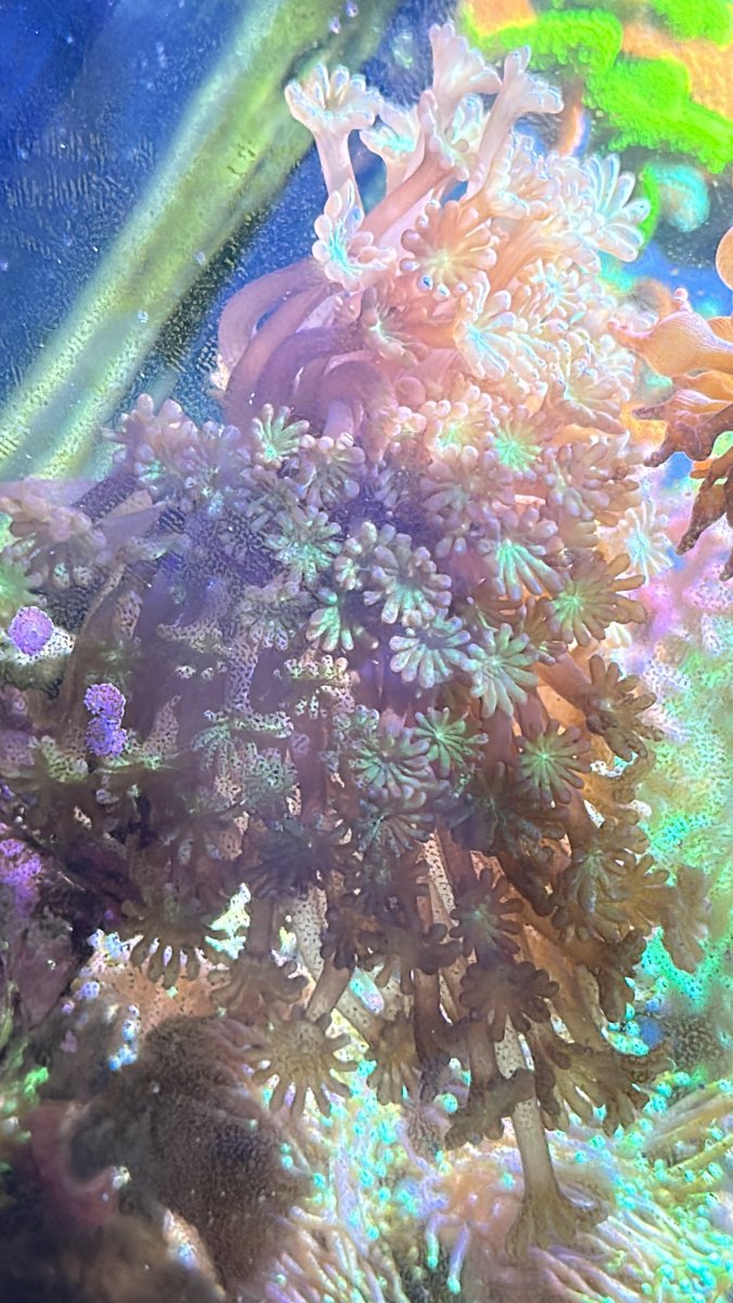 IMG_3754.jpeg