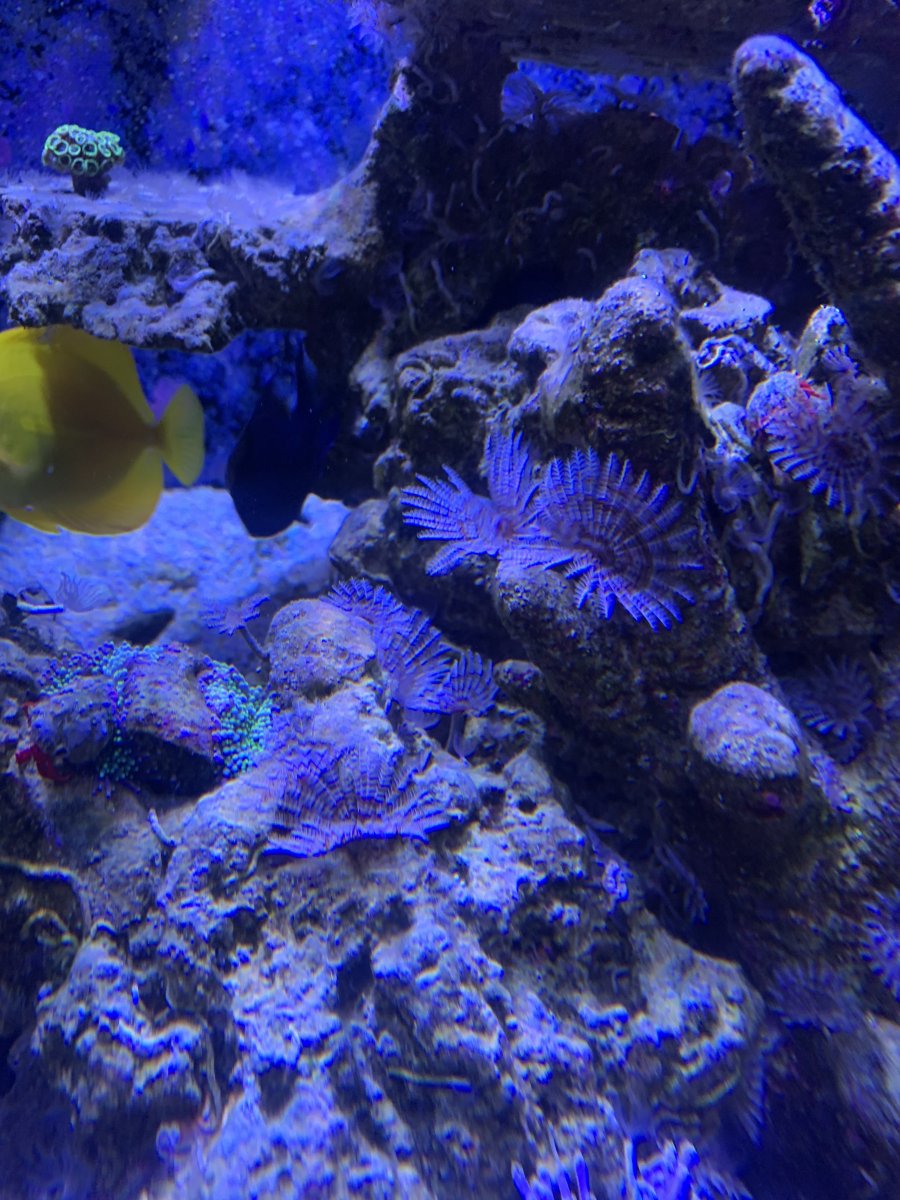 IMG_3774.jpeg