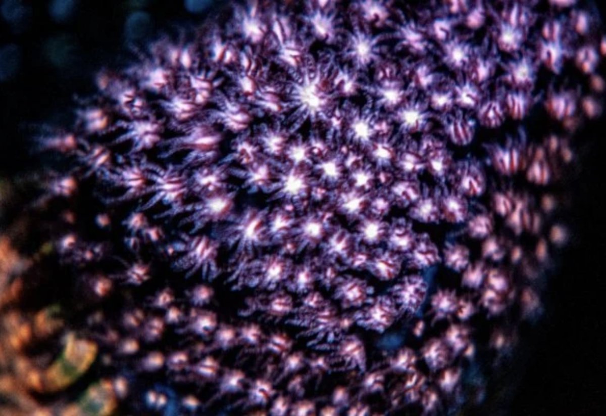 IMG_3781.jpeg