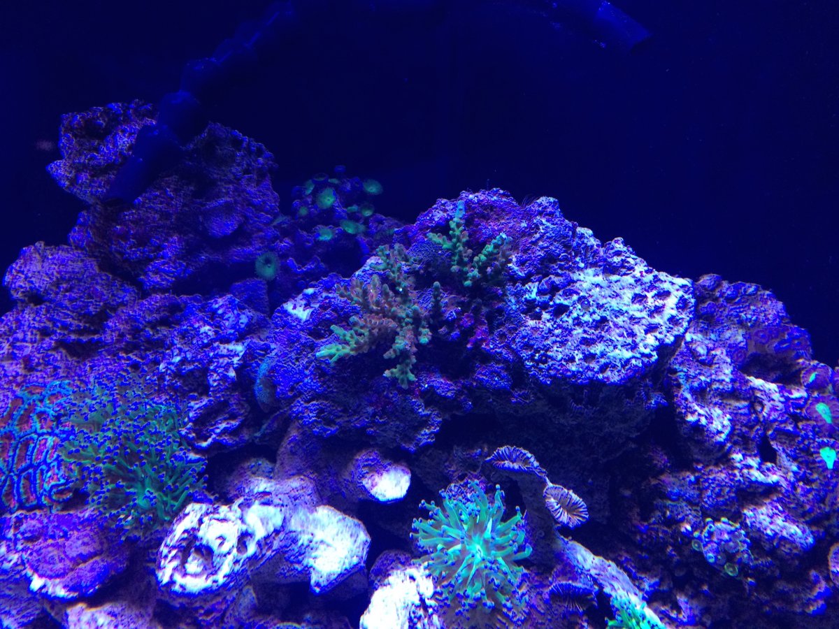 IMG_3798.jpg
