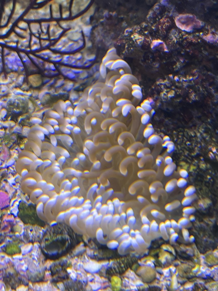 IMG_3799.jpeg