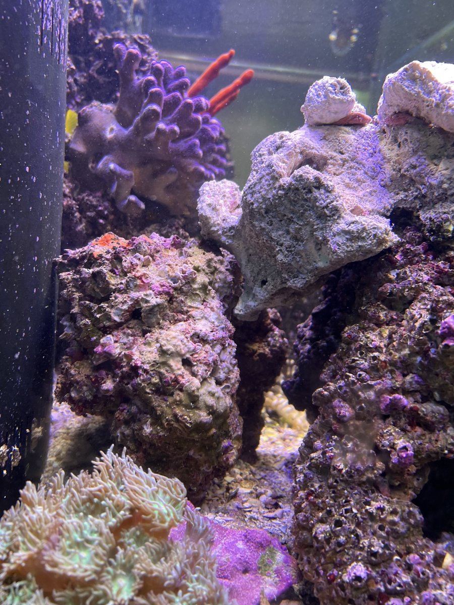 IMG_3803.jpeg