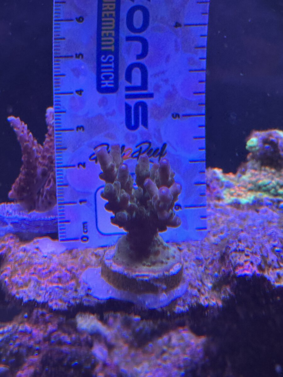 IMG_3808.jpeg