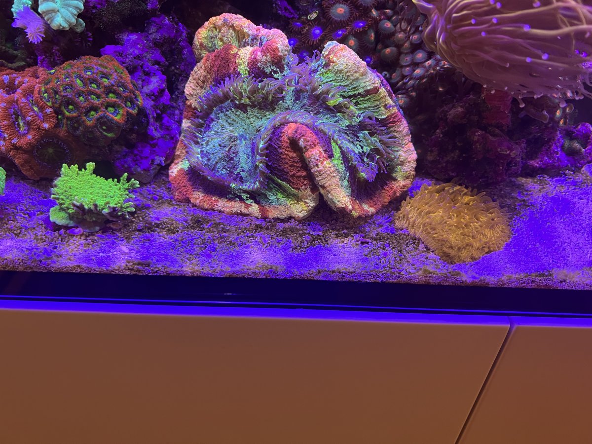 IMG_3809.jpeg