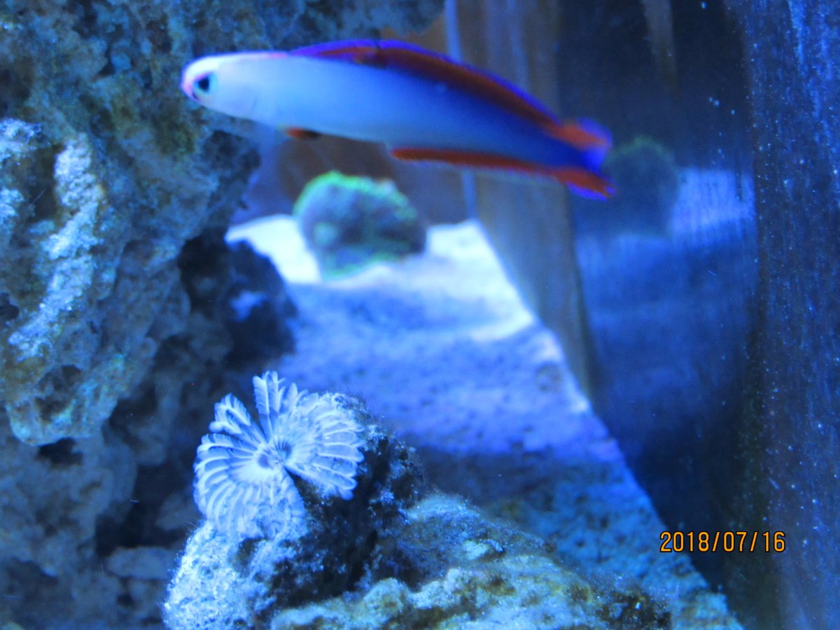 IMG_3811.JPG