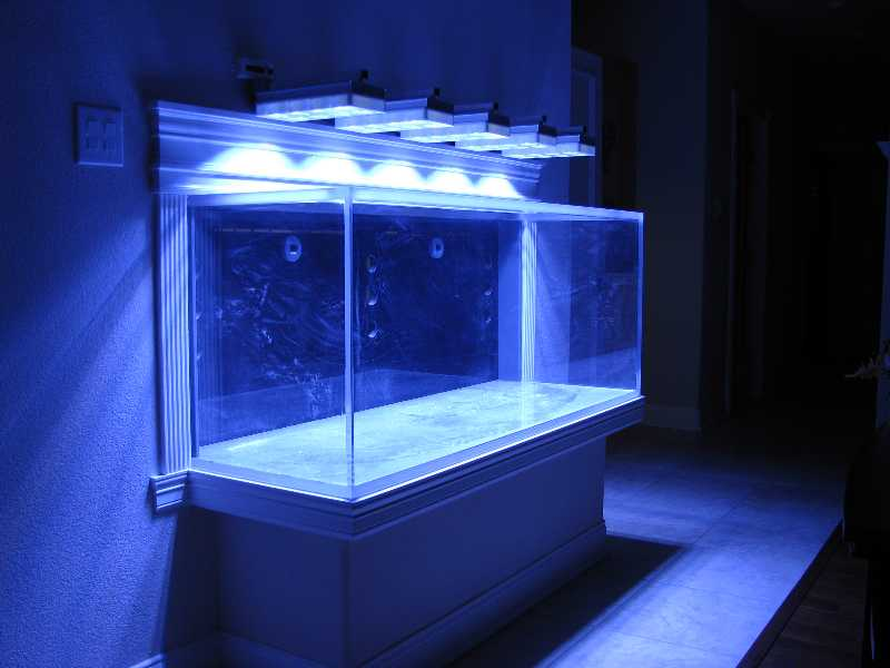 IMG_3812.png