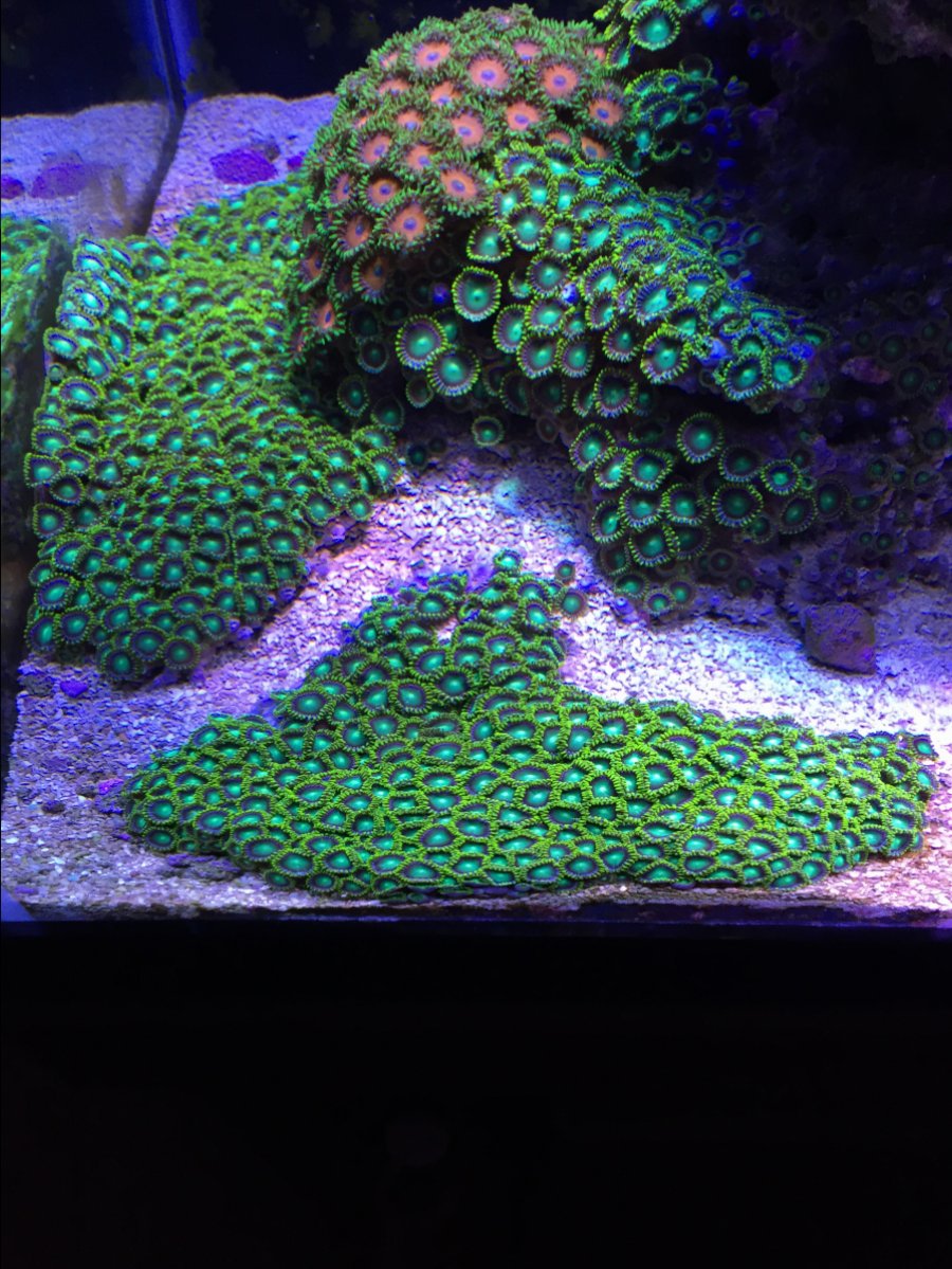 IMG_3823.JPG
