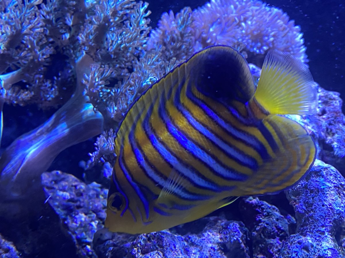IMG_3835.jpeg