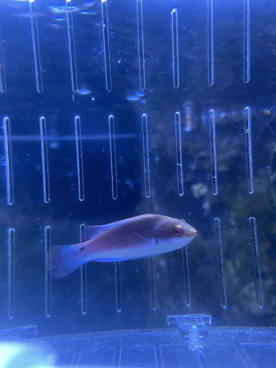 IMG_3836.jpeg