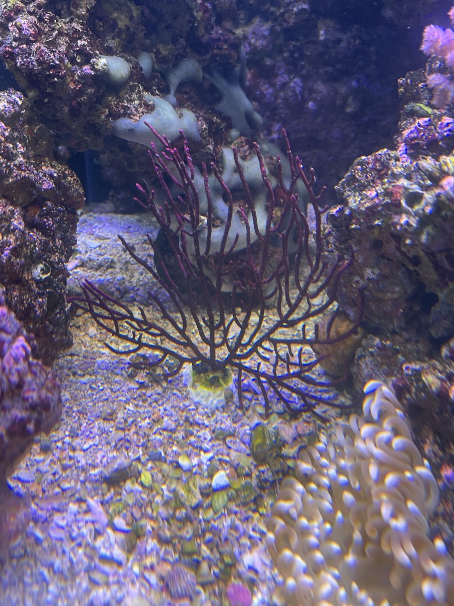 IMG_3836.jpeg