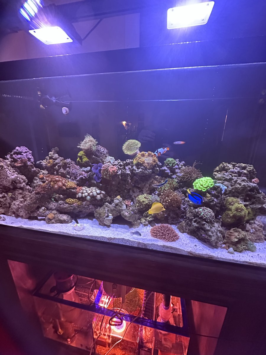 IMG_3851.jpeg